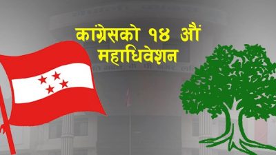 कांग्रेस प्रदेश समिति चयनका लागि आज मतदान