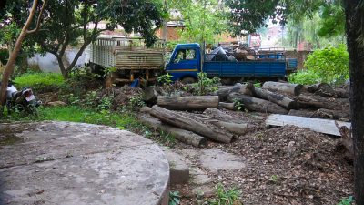 लाखौं मूल्यका सालका काठ र ढुवानी साधनहरु कुहिने तथा कवाडी बन्दै