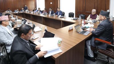 संविधान दिवसको अवसरमा सरकारले विभूषण वितरण नगर्ने