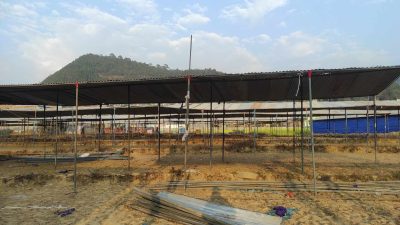 आठौं नुवाकोट महोत्सवको तयारी तिब्र