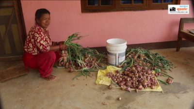 रेमिट्यान्स रकमको सदुपयोग गर्दै लिखुका महिला