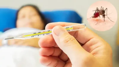 वागमती प्रदेश सरकार स्वास्थ्य मन्त्रालय स्वास्थ्य निर्देशनालय हेटौंडाको डेंगु ज्वरो सम्बन्धी जानकारी