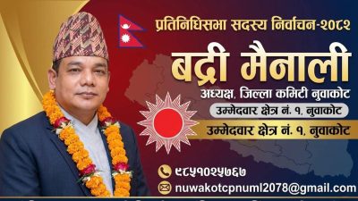 नुवाकोट–१ मा बद्री मैनालीको पुनरागमन : अनुभव, परीक्षण र अपेक्षा